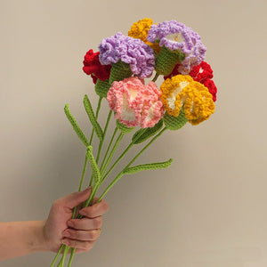 Carnation Crochet Flower Handmade Knitted Flower Gift for Lover - My Face Gifts